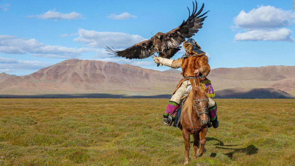 hunting with eagles