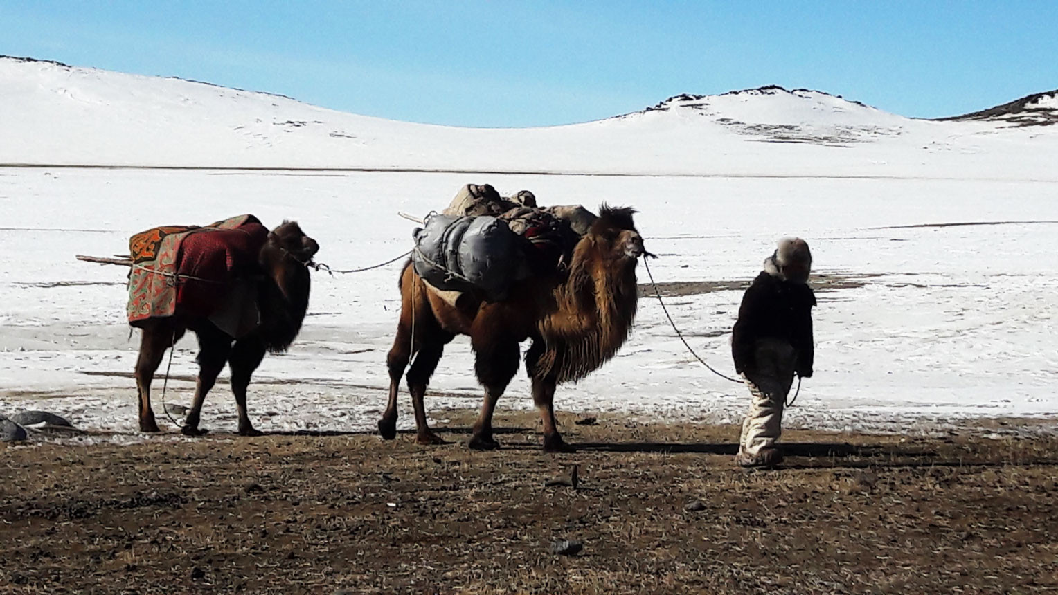 Western Mongolia Package