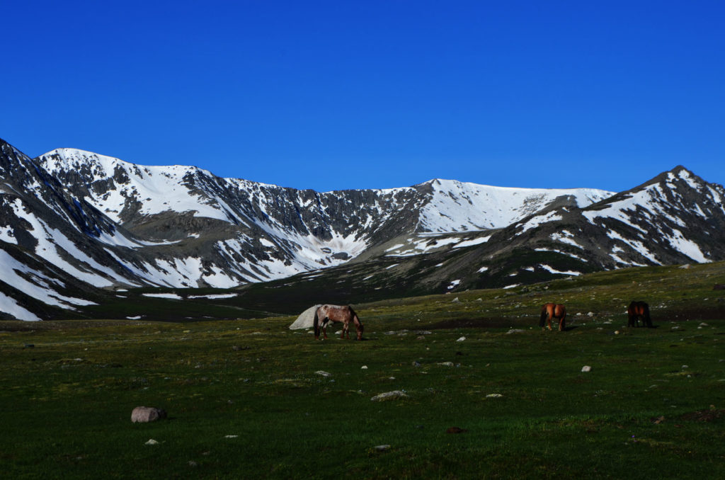 Western Mongolia Package