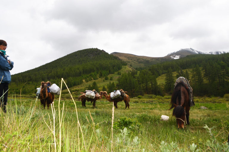 About Mongolia