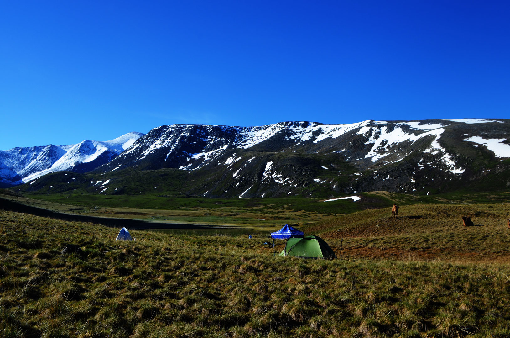 Western Mongolia Package